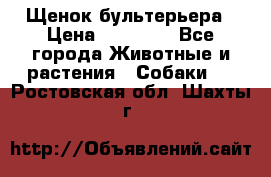 Щенок бультерьера › Цена ­ 35 000 - Все города Животные и растения » Собаки   . Ростовская обл.,Шахты г.